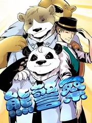 这就是街舞综艺封面
